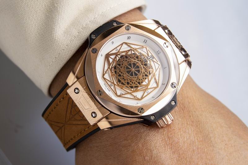 Hublot watch (12)